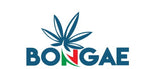 Logo Ufficiale Bongae 